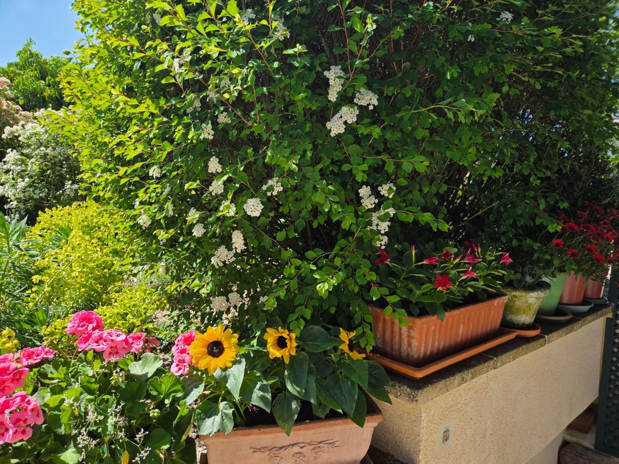 Villa Clair Logis Giverny Exterior foto